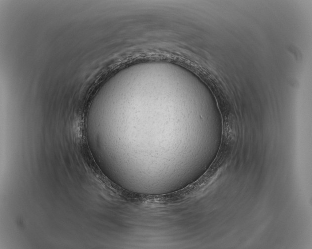X0000115261490200911131734