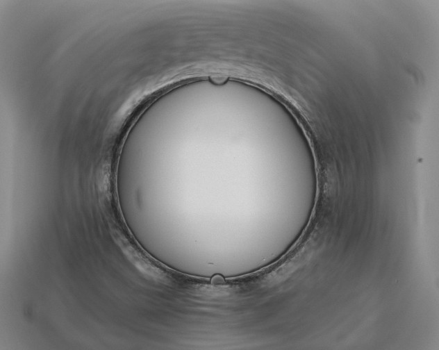 X0000115261499200911131734