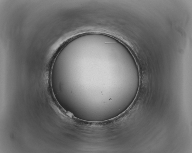 X0000115261503200911131734
