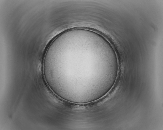 X0000115261505200911131734