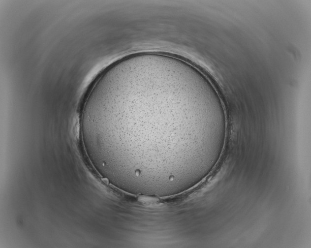 X0000115261509200911131735