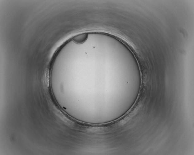 X0000115261510200911131735