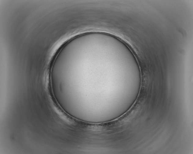 X0000115261511200911131735