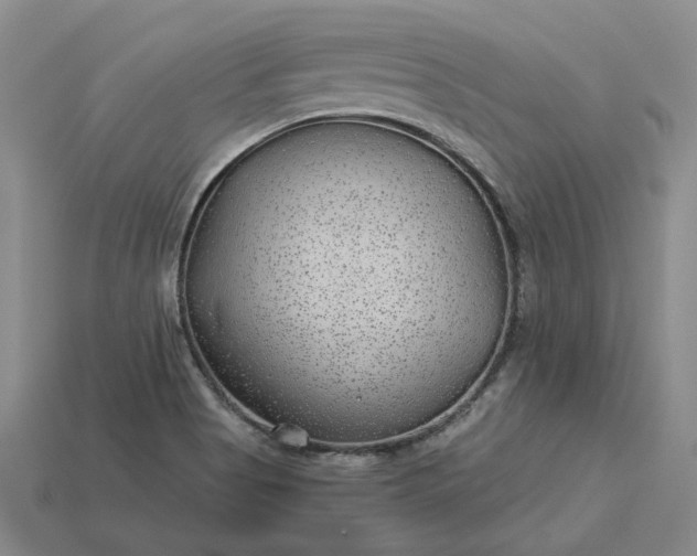 X0000115261513200911131735
