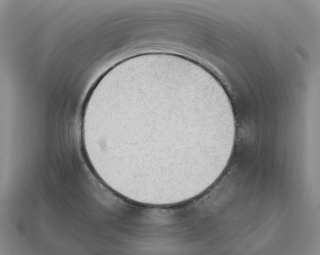 X0000115261514200911131735