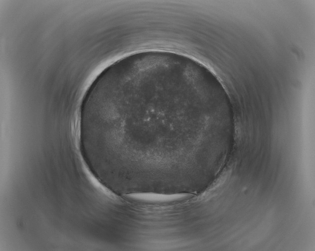 X0000115261515200911131735