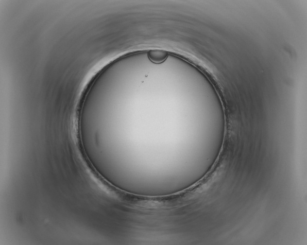 X0000115261517200911131735