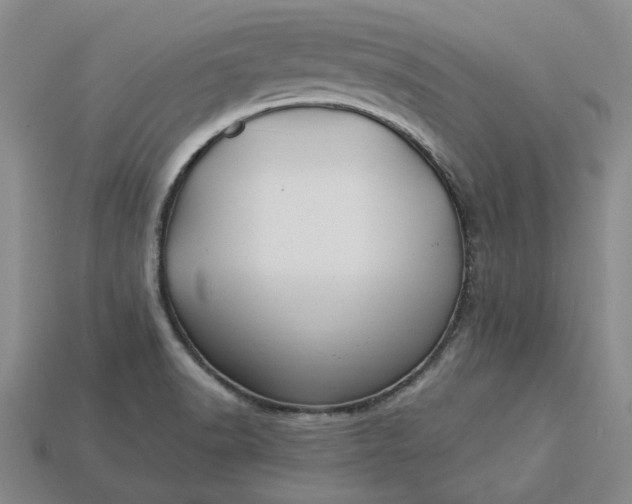 X0000115261518200911131735