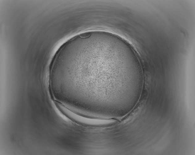 X0000115261519200911131735