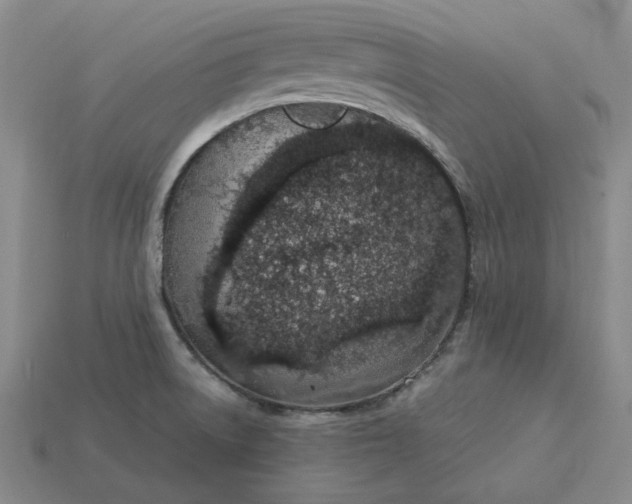 X0000115261522200911131735