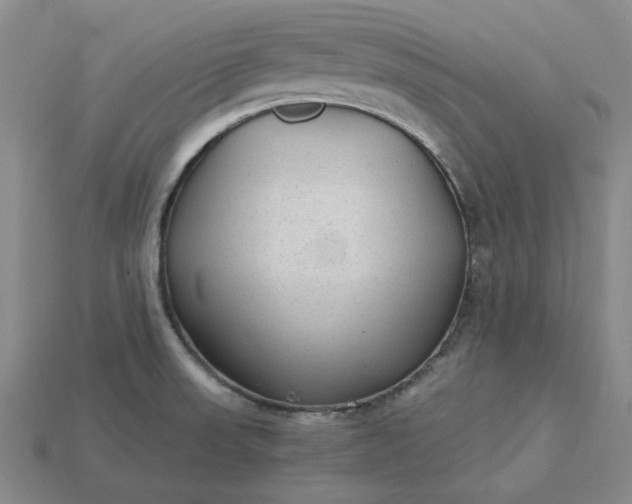 X0000115261523200911131735