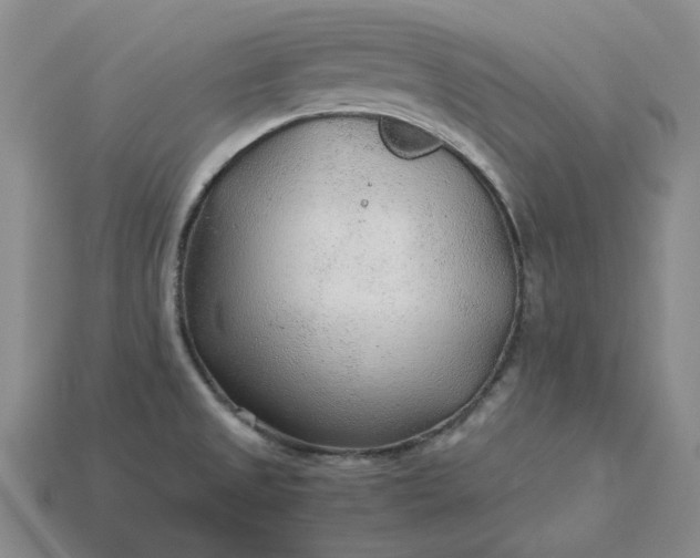 X0000115261525200911131735