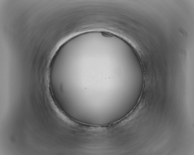 X0000115261526200911131735