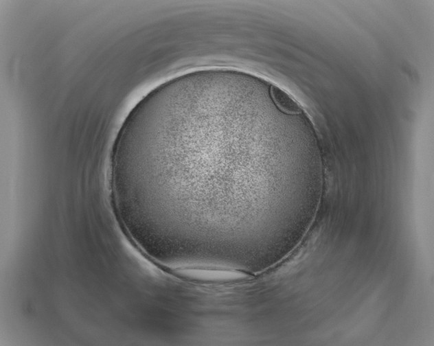 X0000115261527200911131735