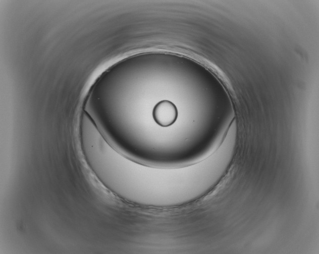 X0000115261530200911131735