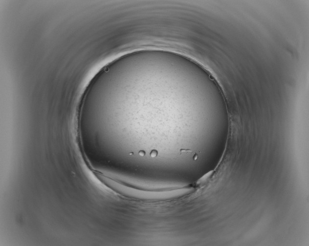 X0000115261531200911131735