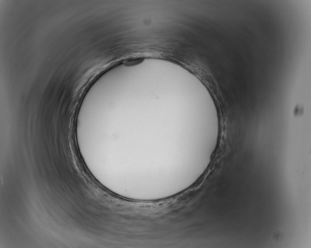 X0000115260001200911201716