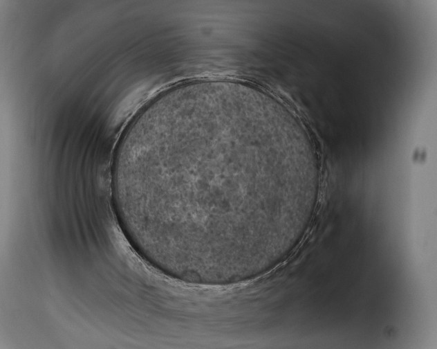 X0000115260002200911201716