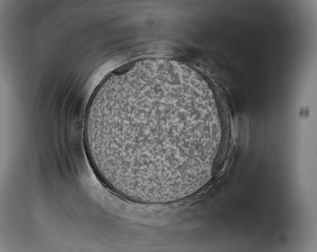 X0000115260003200911201716