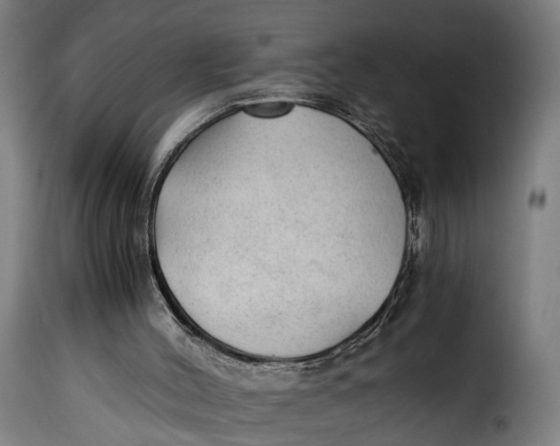 X0000115260004200911201716