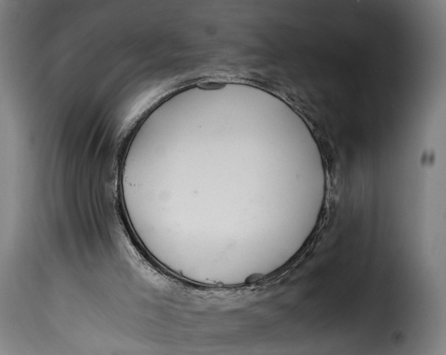 X0000115260005200911201716