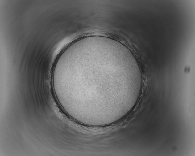 X0000115260006200911201716