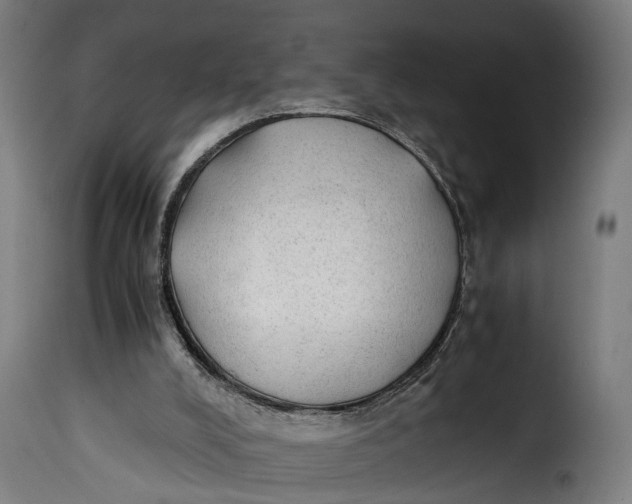 X0000115260008200911201716