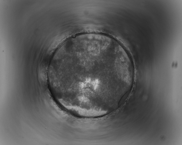 X0000115260009200911201716