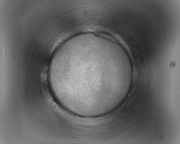 X0000115260010200911201716
