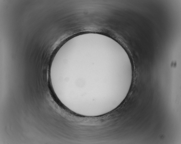 X0000115260011200911201716