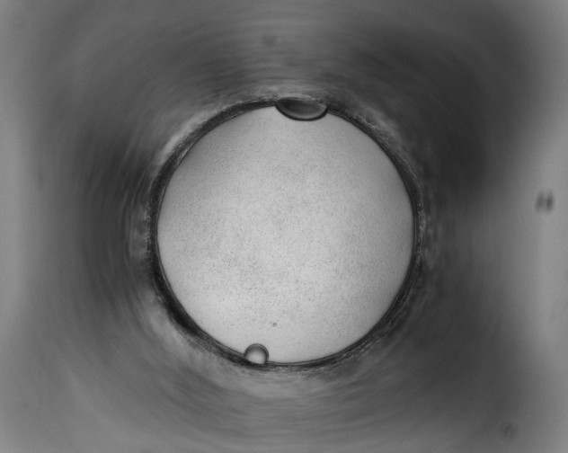 X0000115260012200911201716
