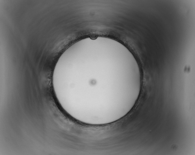 X0000115260017200911201716