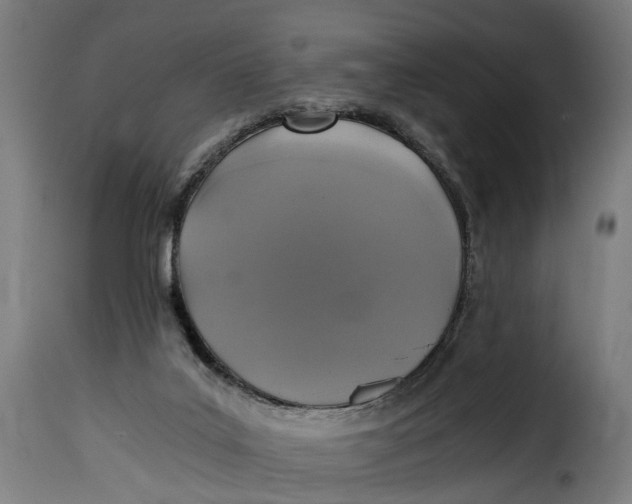 X0000115260019200911201716