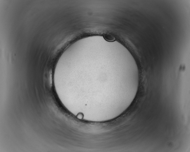 X0000115260020200911201716