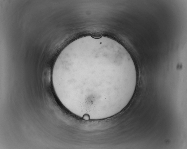X0000115260021200911201716