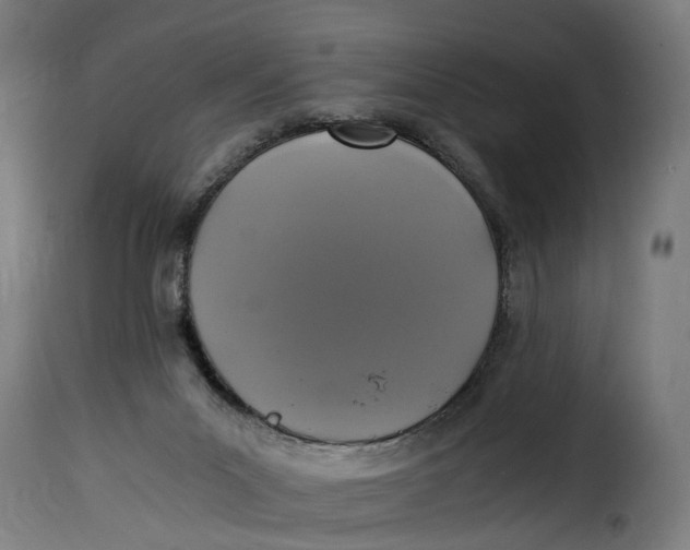 X0000115260023200911201716