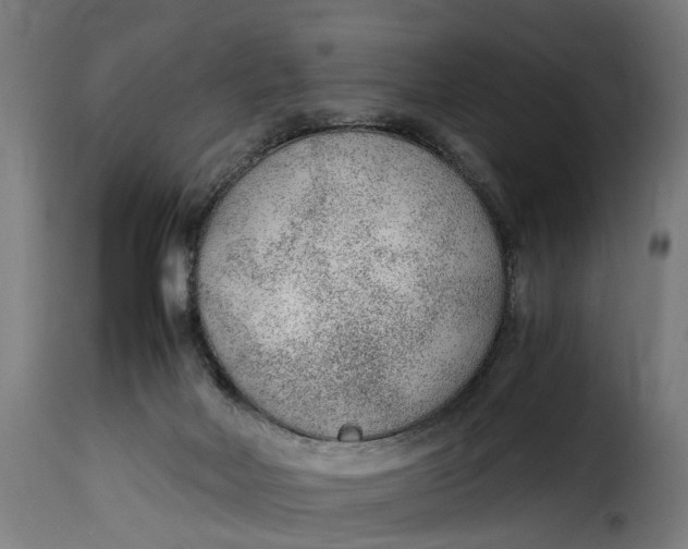 X0000115260026200911201716