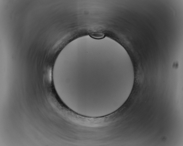 X0000115260027200911201716