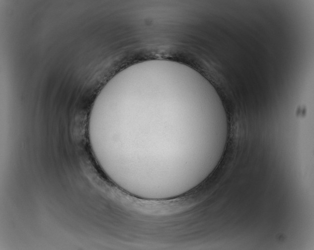 X0000115260030200911201716