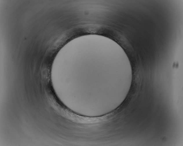 X0000115260031200911201716