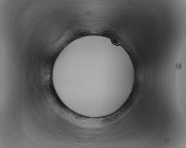 X0000115260032200911201716