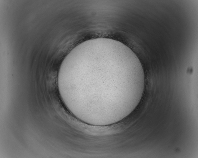 X0000115260034200911201716