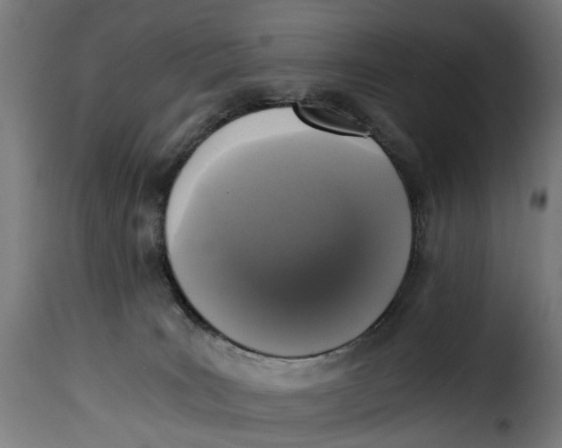 X0000115260035200911201716