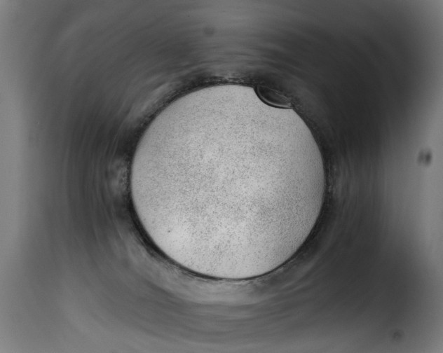 X0000115260036200911201716
