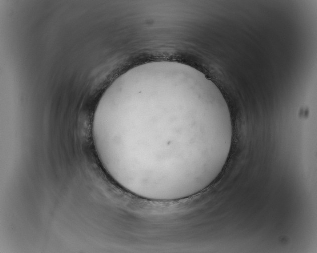X0000115260037200911201716