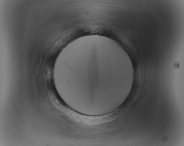 X0000115260039200911201716