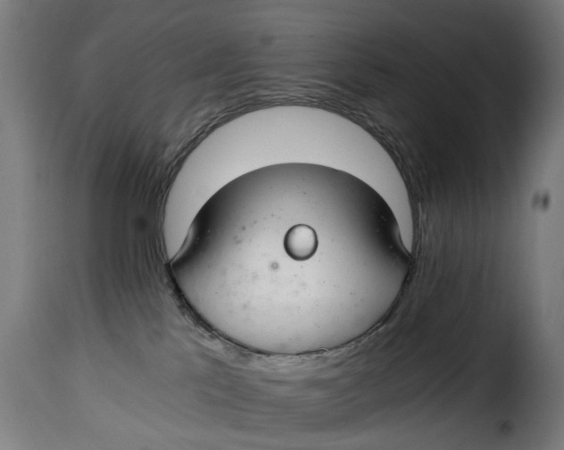 X0000115260041200911201716