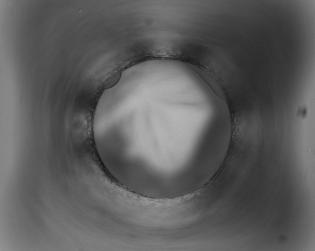 X0000115260043200911201716
