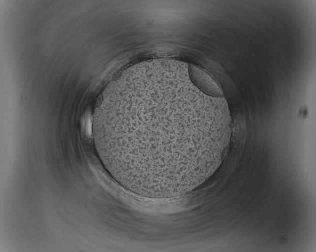 X0000115260046200911201716