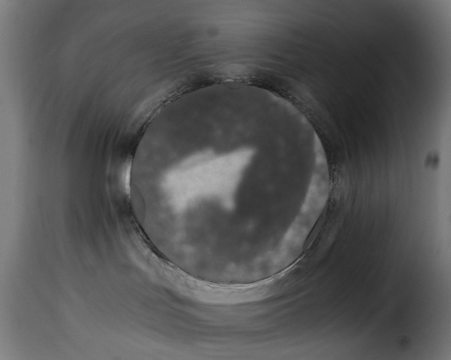 X0000115260047200911201716